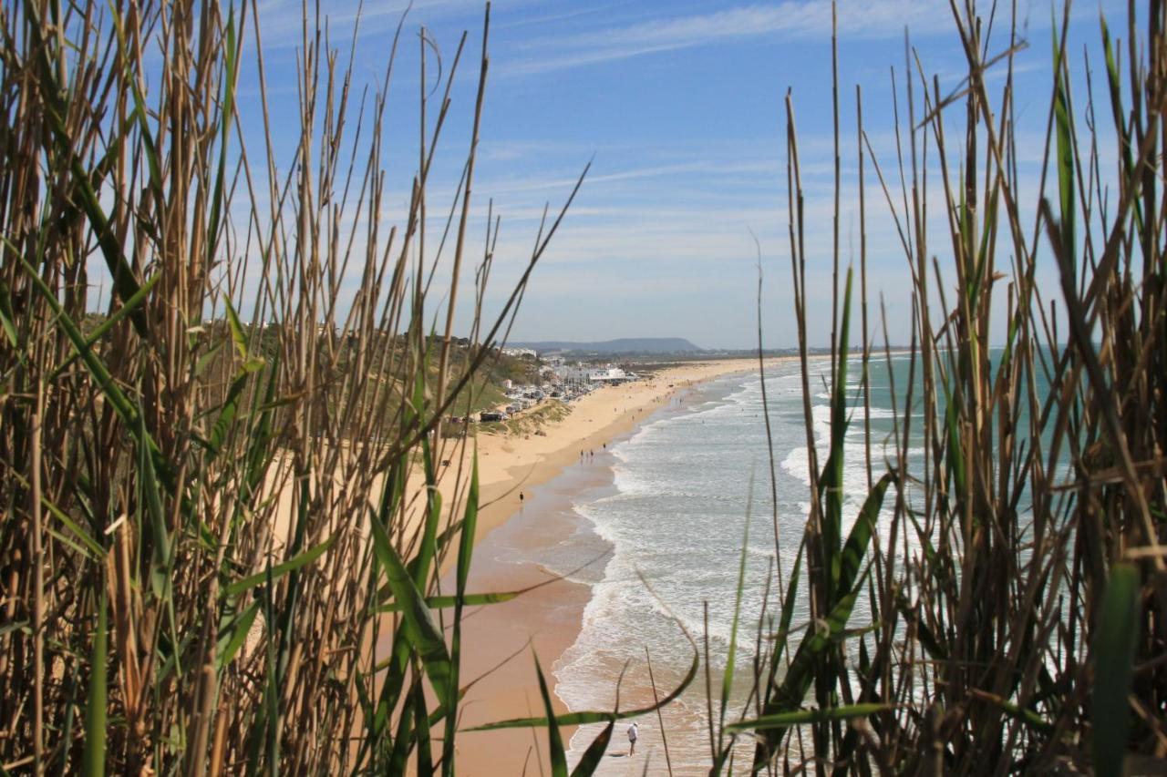 Estudio En El Centro De Conil Conil De La Frontera Eksteriør billede