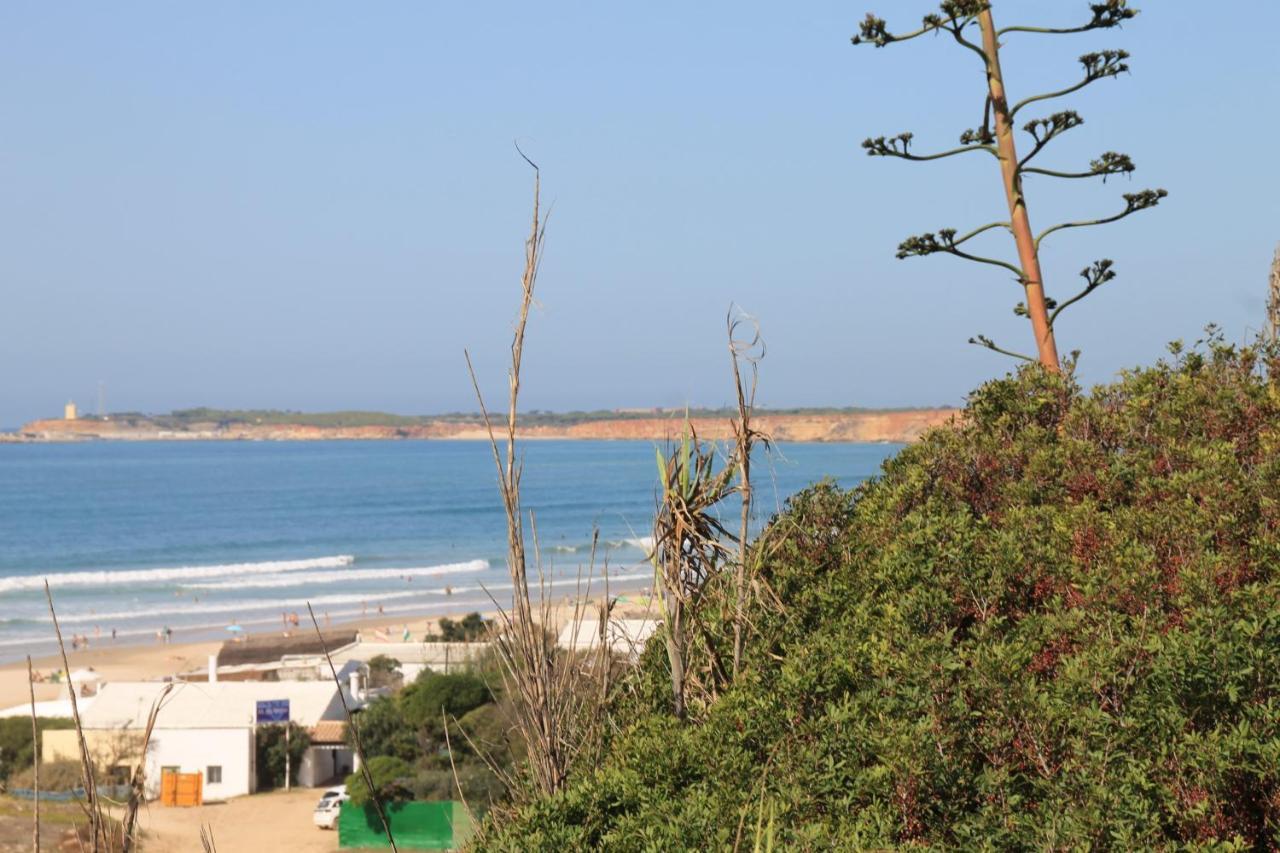 Estudio En El Centro De Conil Conil De La Frontera Eksteriør billede
