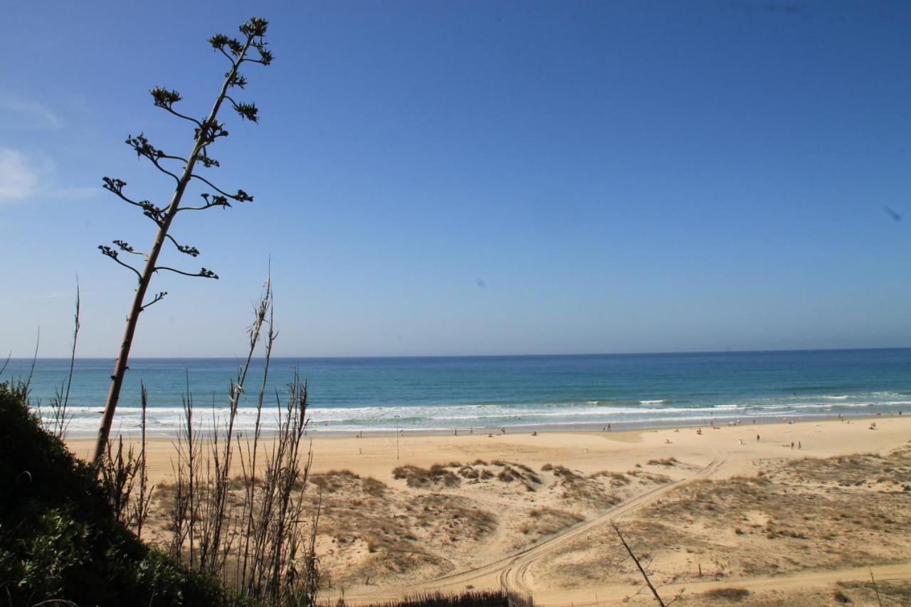 Estudio En El Centro De Conil Conil De La Frontera Eksteriør billede